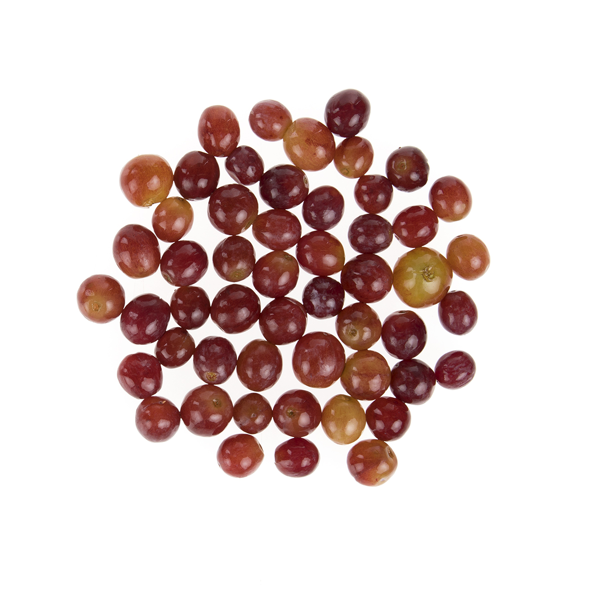 Stemmed And Cleaned Red Grapes | Red Grapes | Baldor Specialty Foods