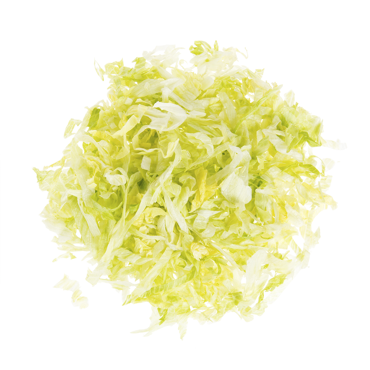 Shredded Iceberg Lettuce | Iceberg | Baldor Specialty Foods