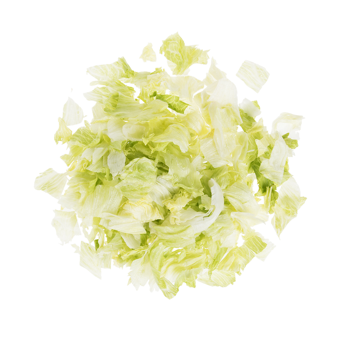 Chopped Iceberg Lettuce Iceberg Baldor Specialty Foods