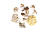 Organic Chef's Mix Mushrooms