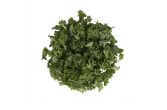 Chopped Organic Green Kale