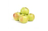 Shamrock Apples