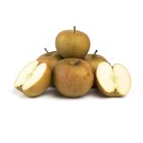 Ashmead's Kernel Apples