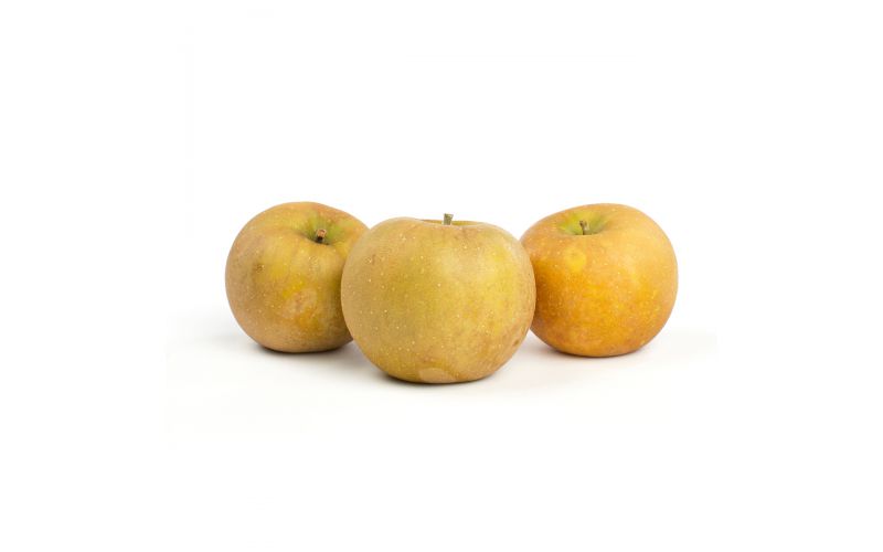Roxbury Russet Heirloom Apples