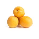 Tree Ripened Apricots