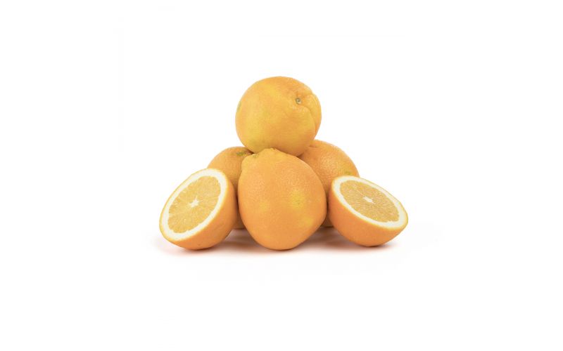 Choice Navel Oranges