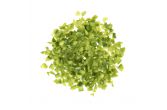 Diced Green Peppers 1/2"