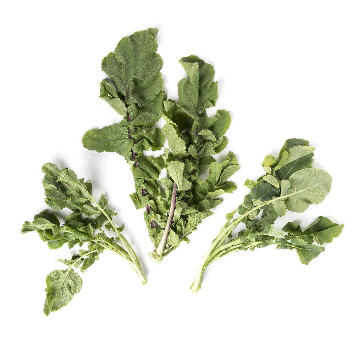 Wild Mustard Greens Leafy Greens Other Baldor Specialty Foods