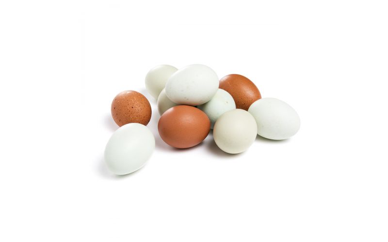 Medium Free Range Heritage Eggs