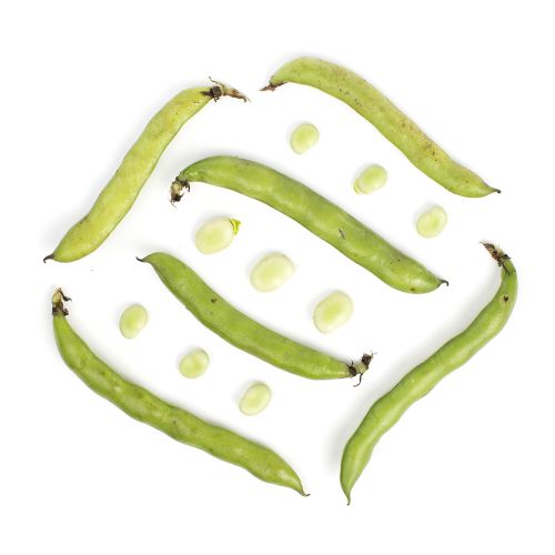 Fava Beans