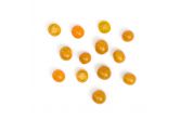 Organic Sungold Cherry Tomatoes