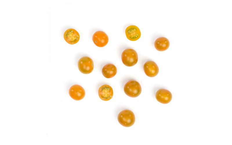 Organic Sungold Cherry Tomatoes