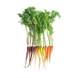 Organic Mixed Carrots
