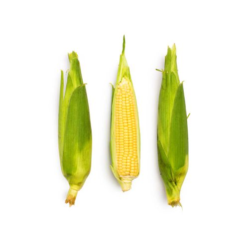 Yellow Corn