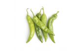 Hot Hatch Chile Peppers