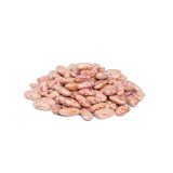 Dried Cranberry Beans