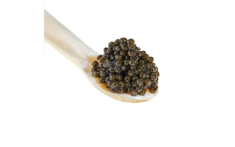 Russian Osetra Hybrid Caviar