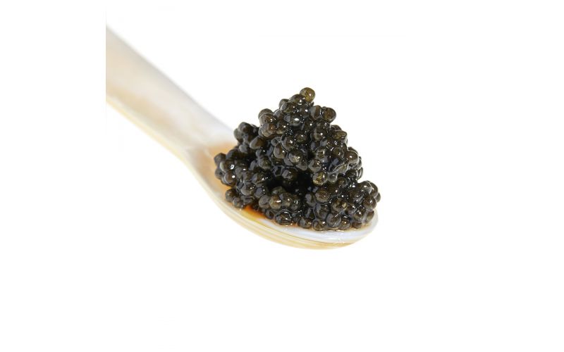 Hybrid Beluga Caviar
