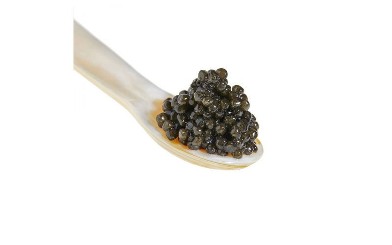 Amur Osetra Hybrid Caviar