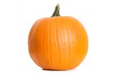 Extra Large Pumpkin