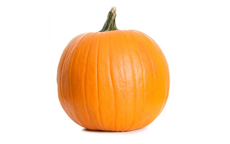 Extra Large Pumpkin