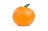 Large Pumpkin