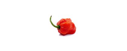 Carolina Reaper Peppers