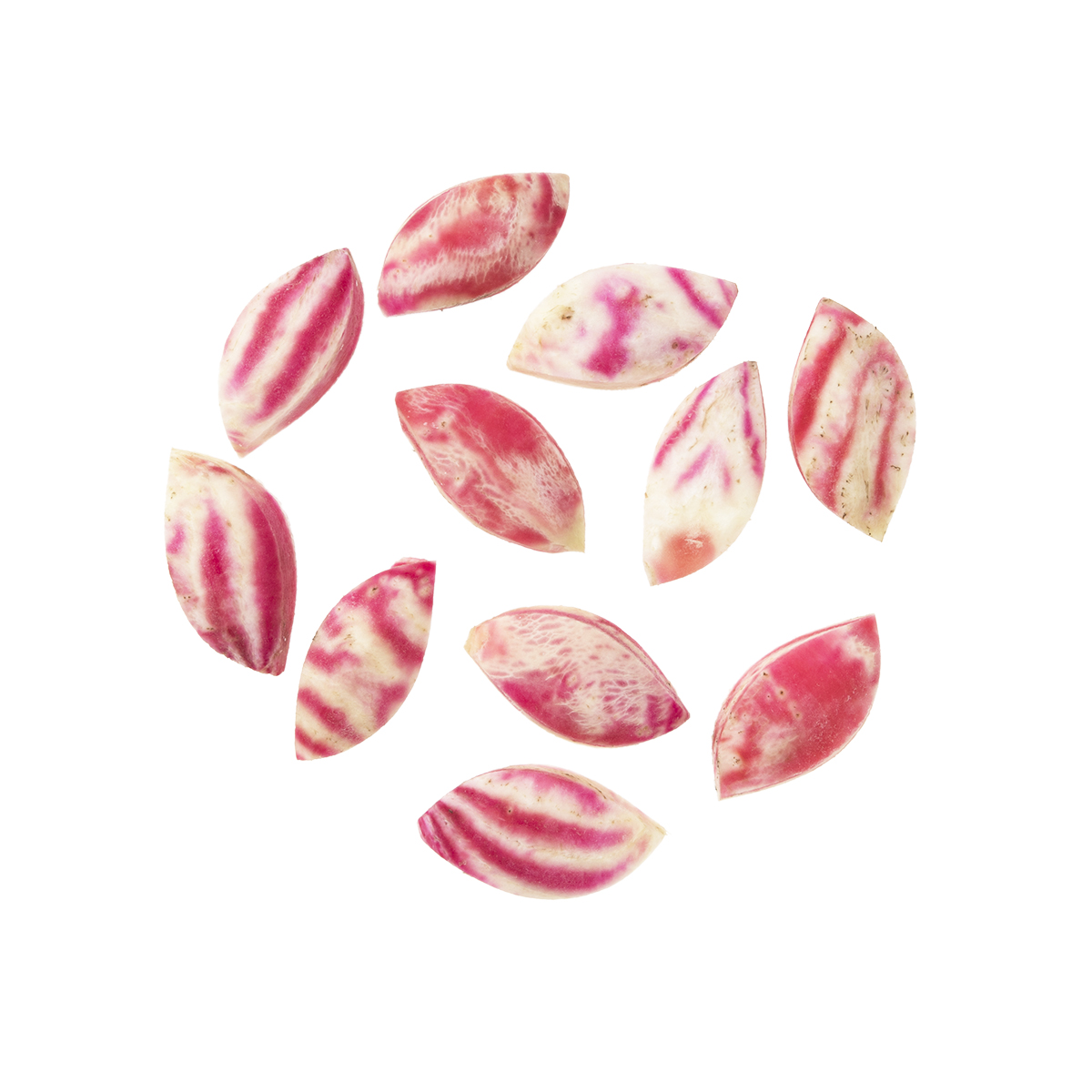 Turned Candy Cane Beets Colored Beets Baldor Specialty Foods
