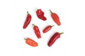 Organic Aleppo Peppers