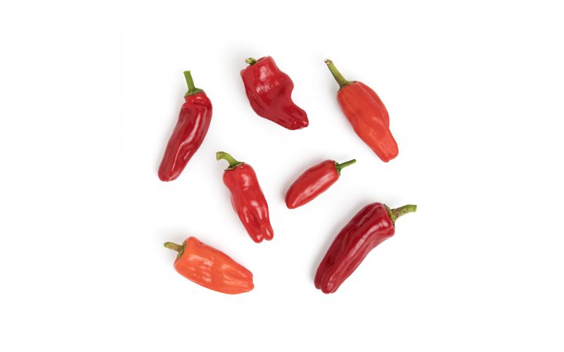 Organic Aleppo Peppers