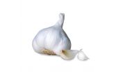 Colossal Garlic