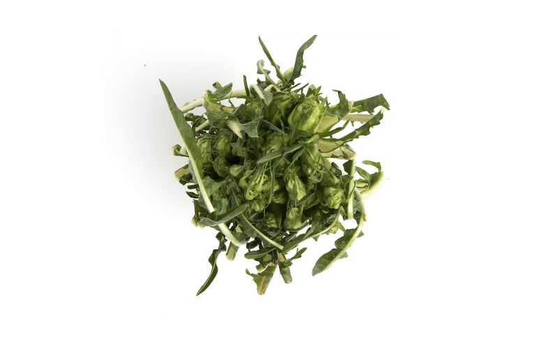Italian Puntarella