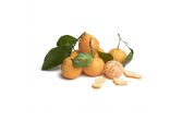 Stem & Leaf Mandarins