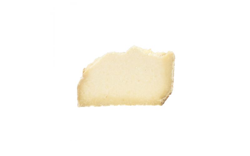Castelmagno Cheese