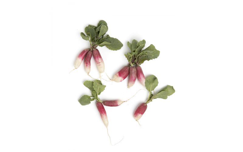 Organic French Breakfast Radishes