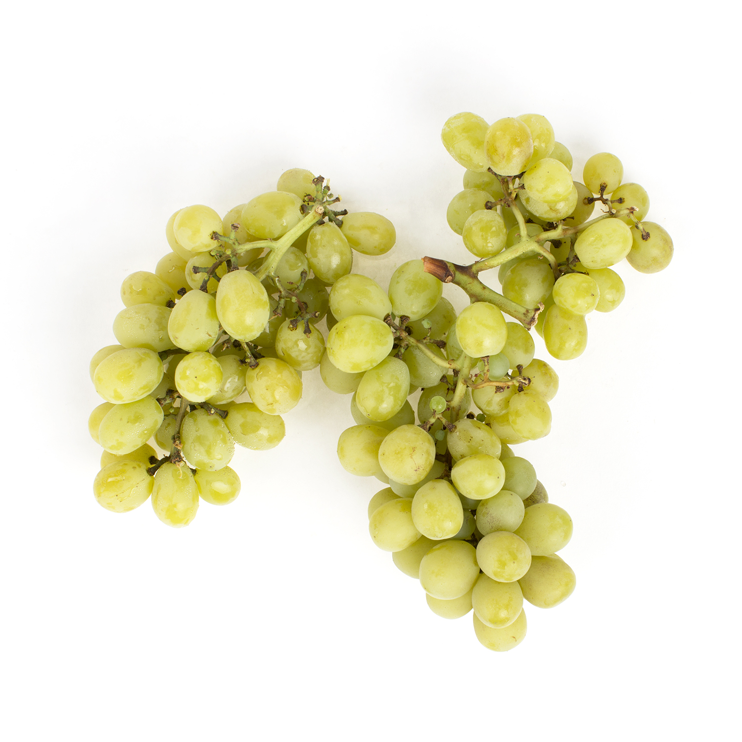 Cotton Candy Grapes Green Grapes Baldor Specialty Foods