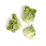 Organic Green Butter Lettuce