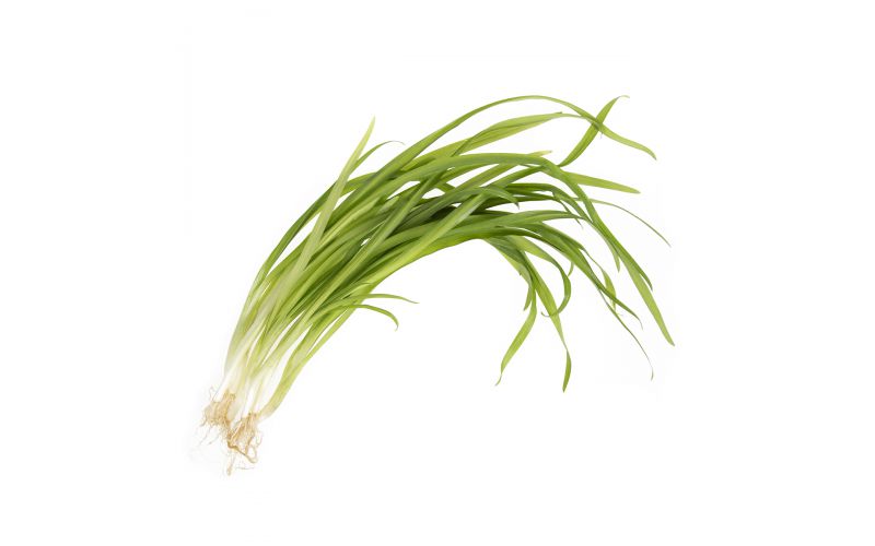 Wild Spring Onions