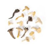 Wild Chef Mix Mushrooms