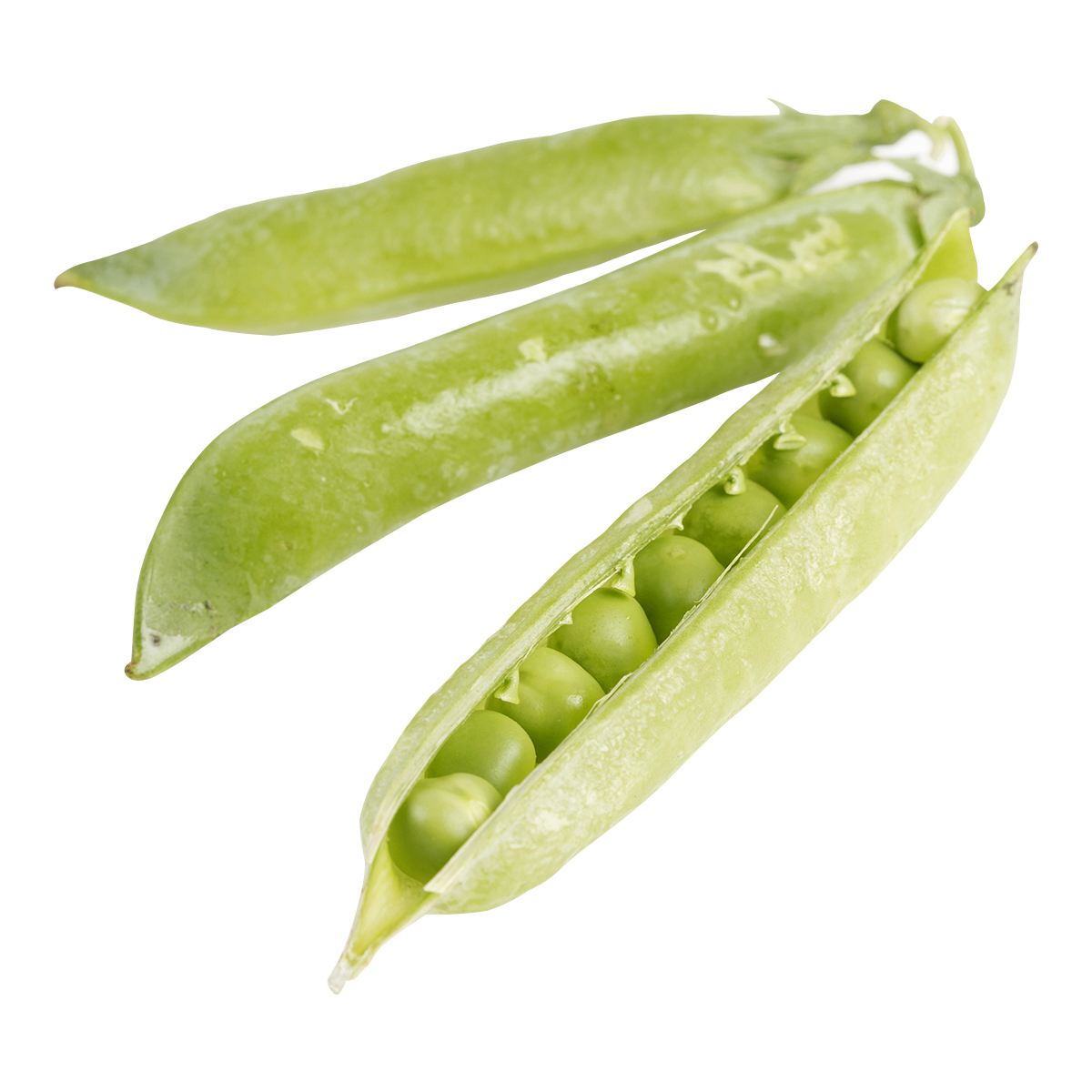 English Peas Peas Baldor Specialty Foods