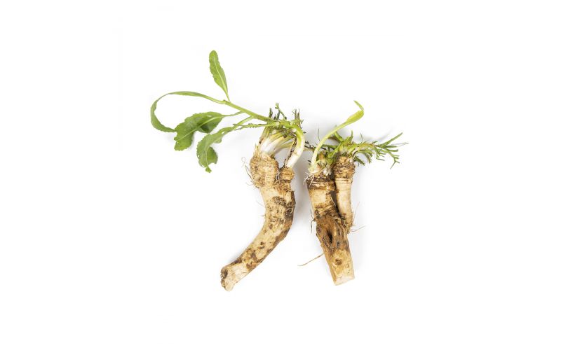 Organic Horseradish Root