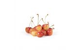 Skylar Rae Cherries