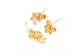 Local Pink Champagne Currants