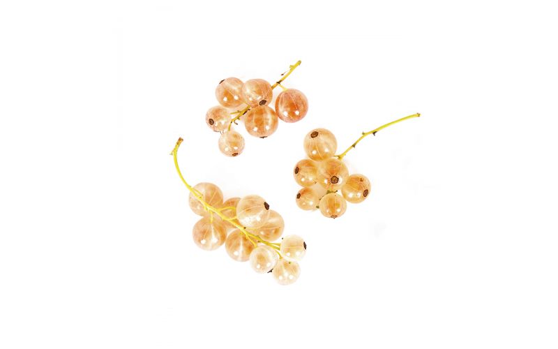 Local Pink Champagne Currants