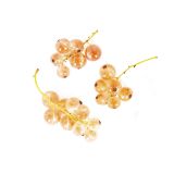 Local Pink Champagne Currants