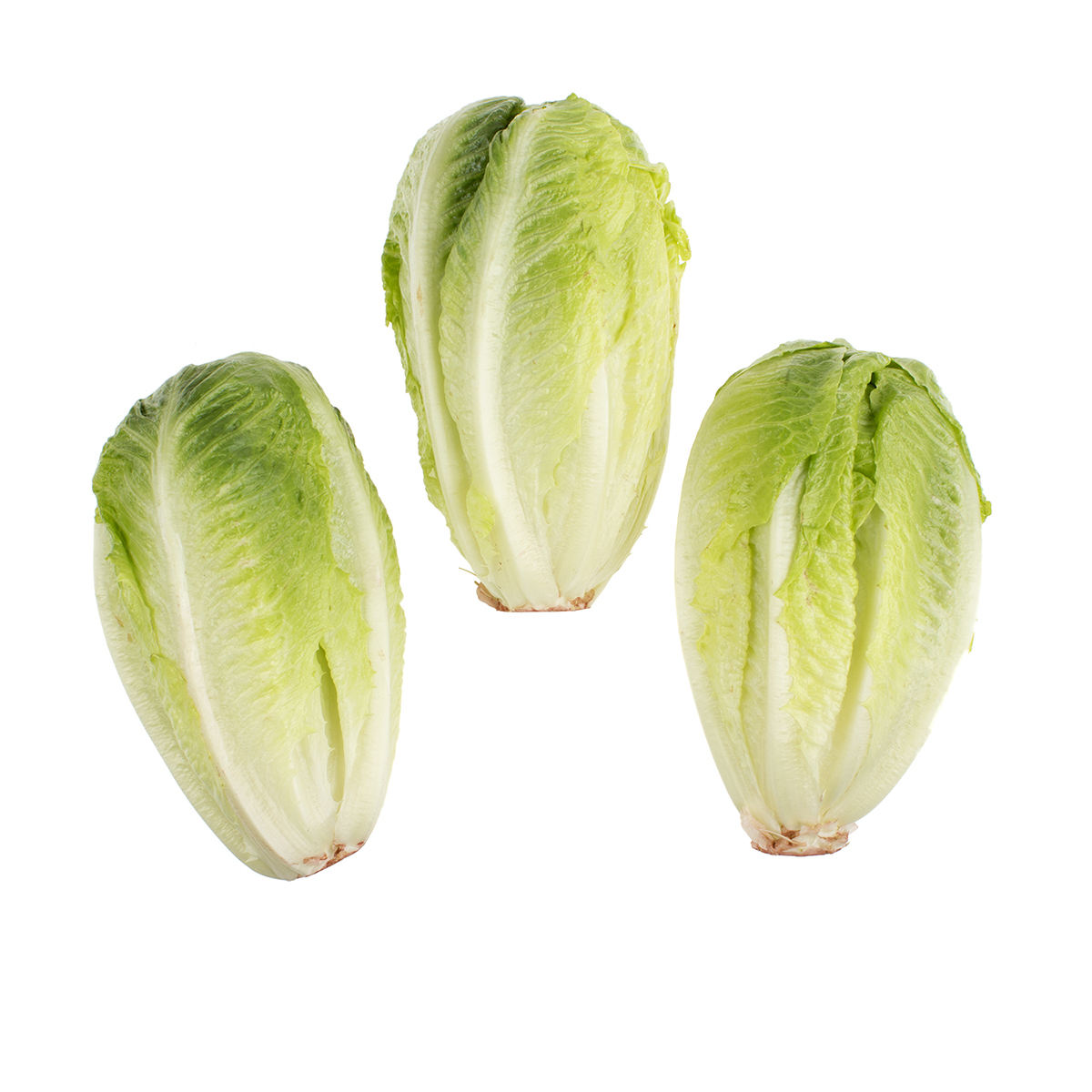 Baby Romaine Hearts | Romaine | Baldor Specialty Foods