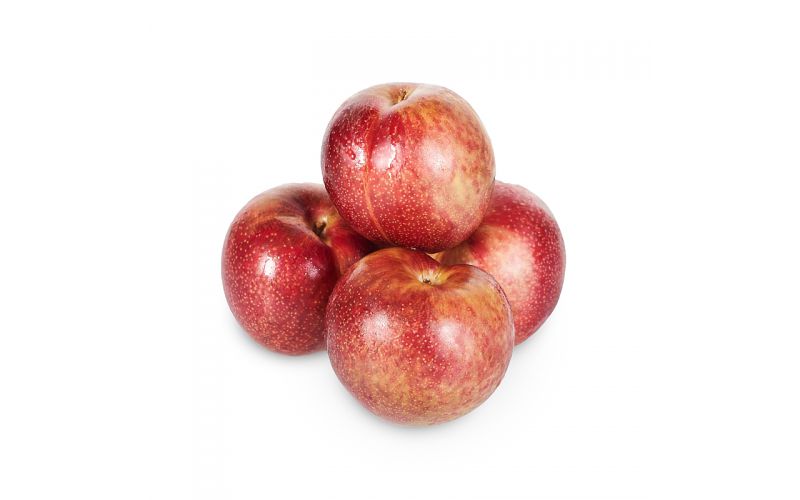 Autumn Ruby Sugar Red Plumcots