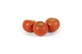 Giant Organic Red Beefsteak Tomatoes
