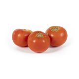 Giant Organic Red Beefsteak Tomatoes