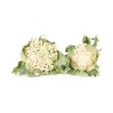 Organic Japanese Cauliflower